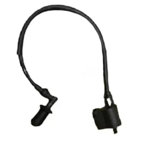PARÇA PS3 ATESLEME BOBINI