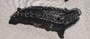 PARÇA RS6 ON SINYAL SOL